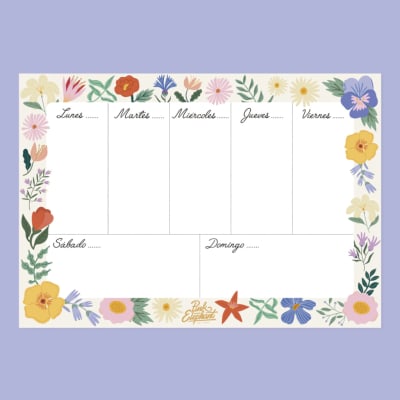 Pink elephant organizador semanal magnético