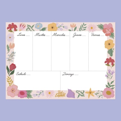 Pink elephant organizador semanal magnético