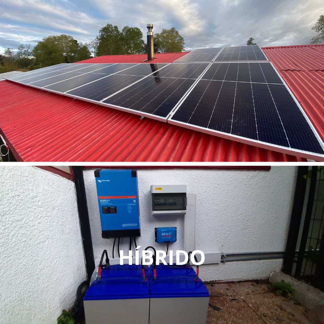 hibrido