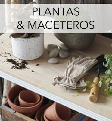 flores y maceteros flores y maceteros
