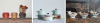 slider1 copia5693 title