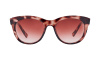 Boundless Peach Tort Bronze Peach Pink Fade1