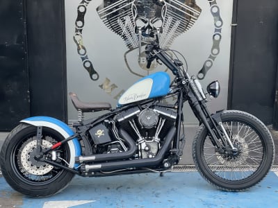 HARLEY DAVIDSON SOFTAIL Cross Bones 2010