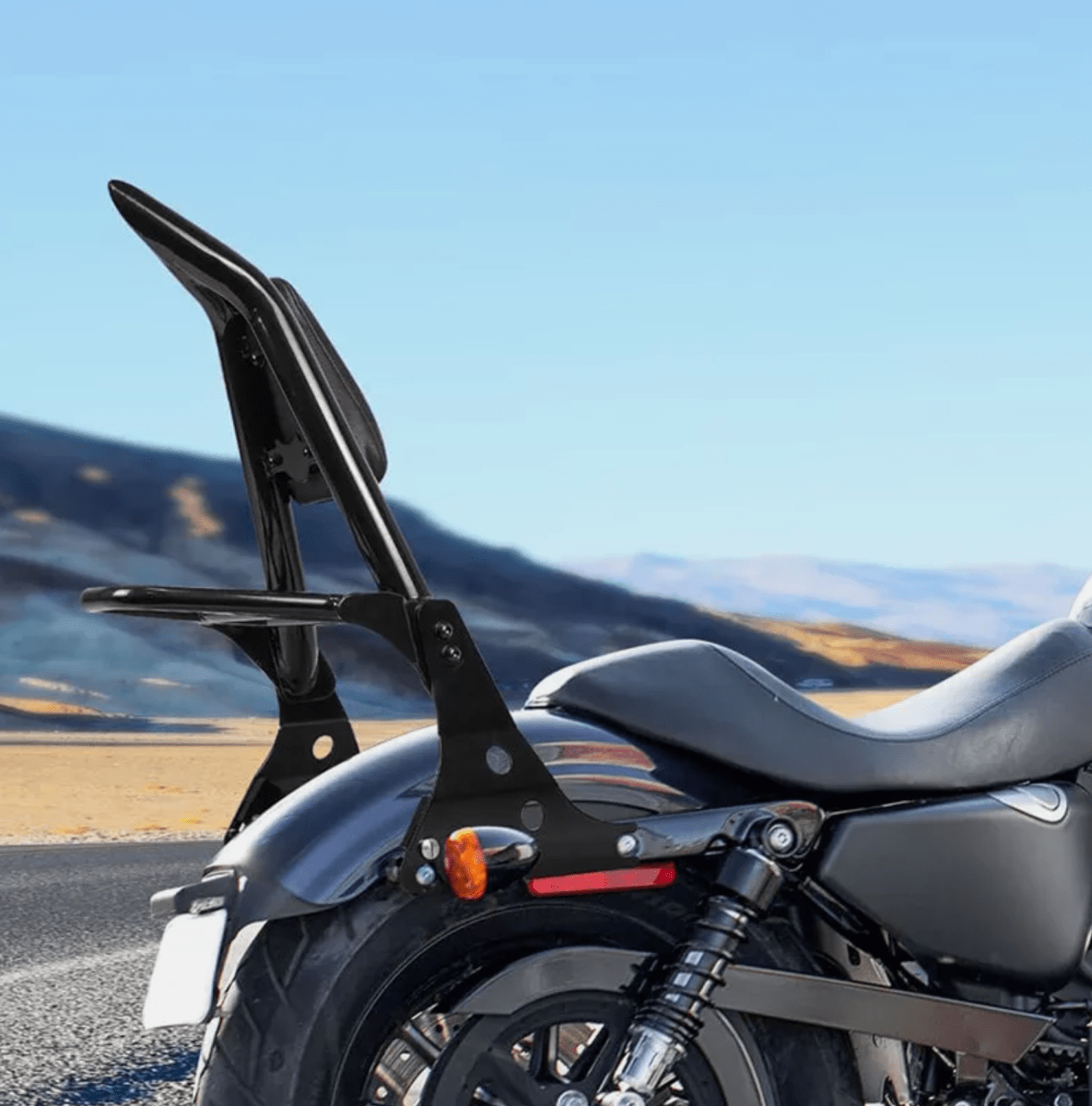 Sissy Bar con Parrilla para Sportster2