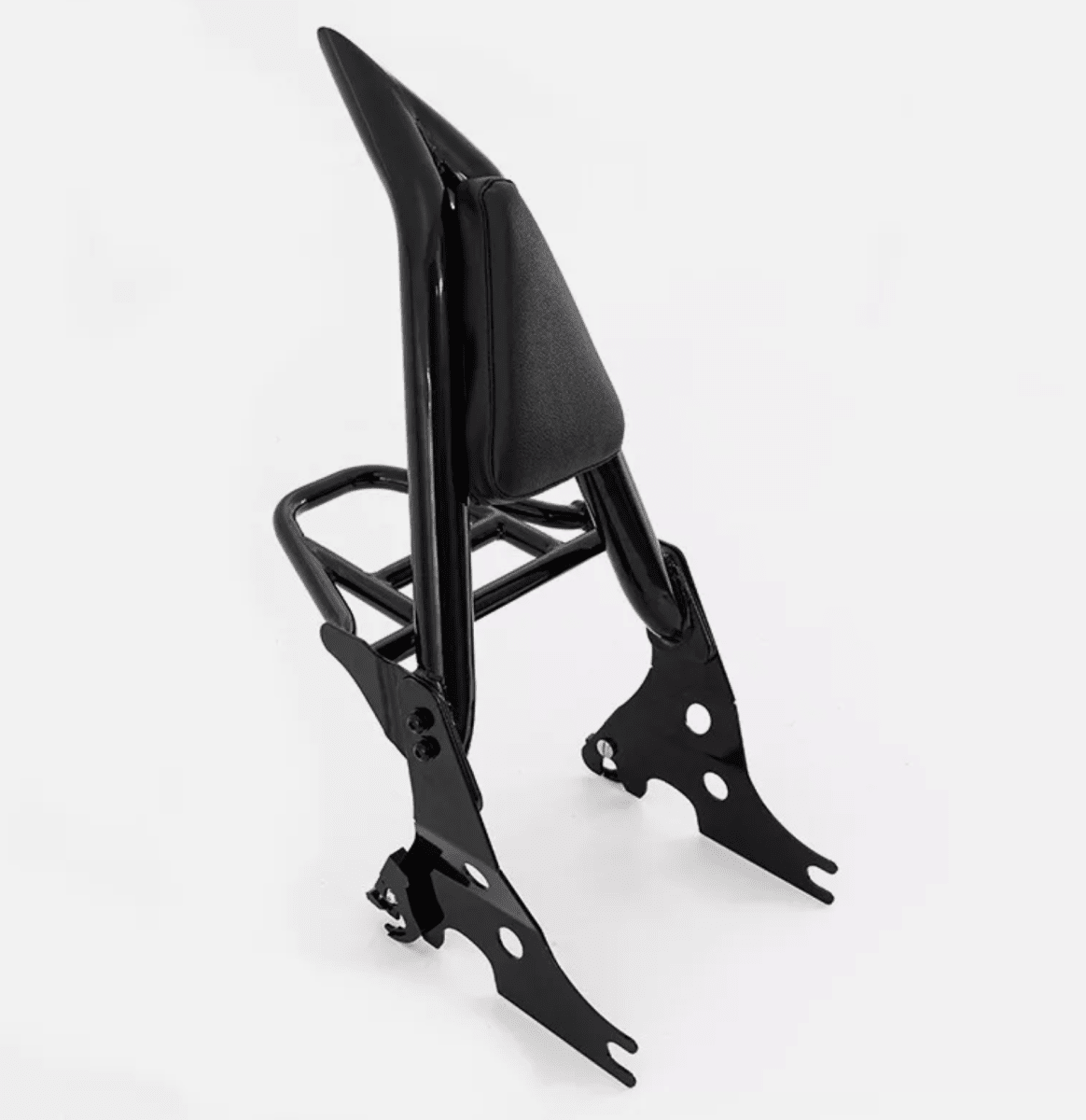 Sissy Bar con Parrilla para Sportster6