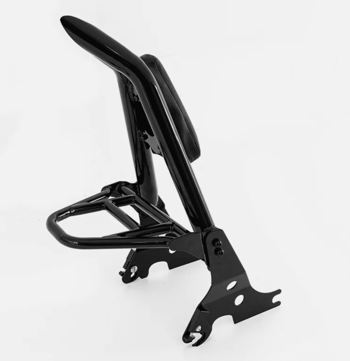 Sissy Bar con Parrilla para Sportster5