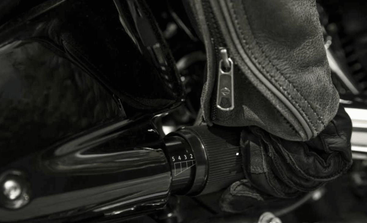Harley Davidson SportGlide 107 (Rental Bikes) . G5