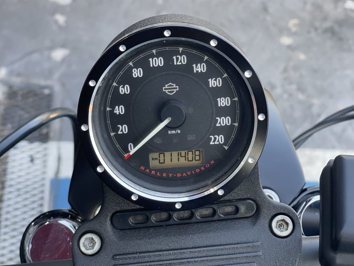 HARLEY DAVIDSON Sportster Iron 883 (18)6