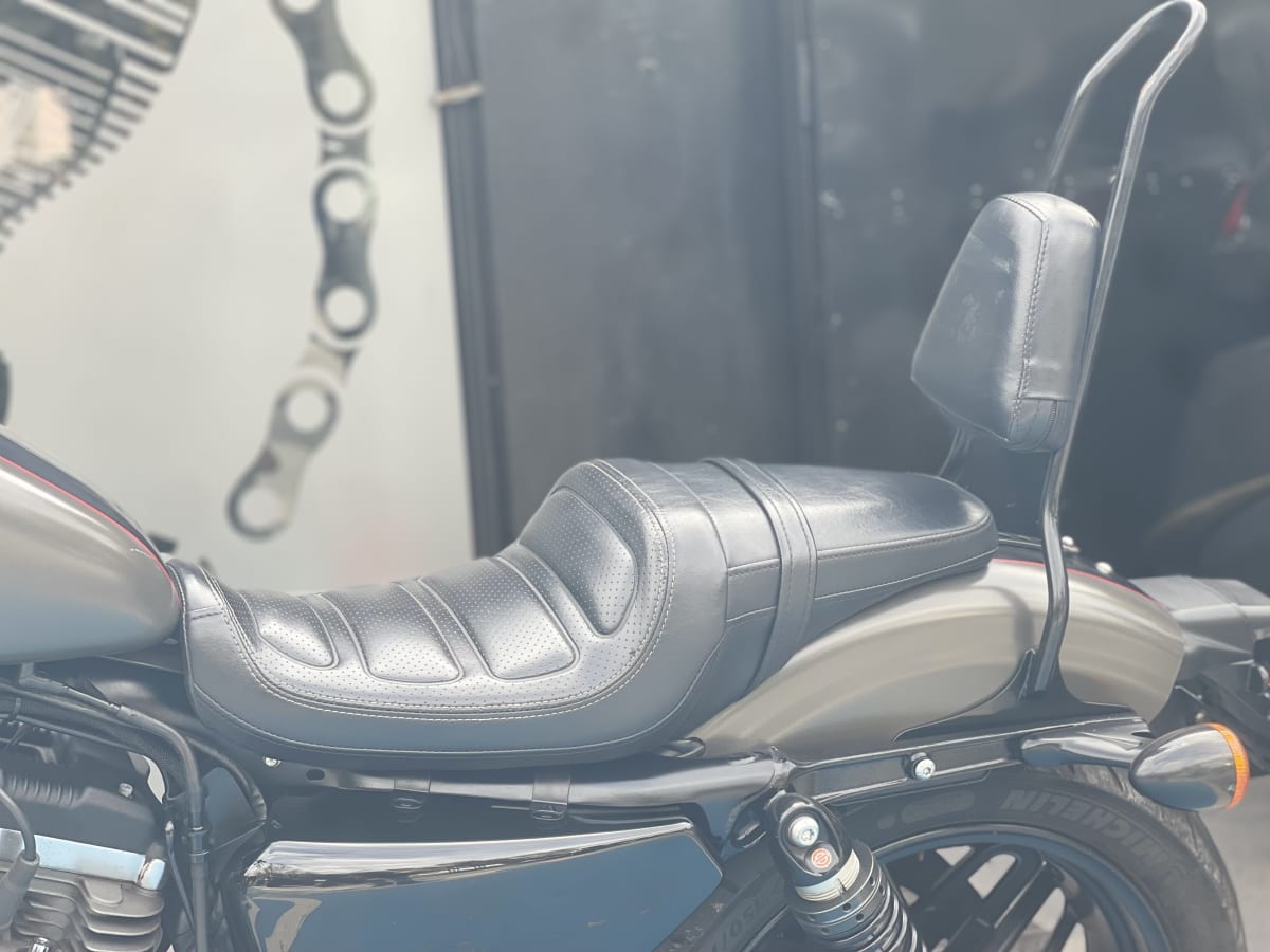 HARLEY DAVIDSON ROADSTER 1200 (2018)12