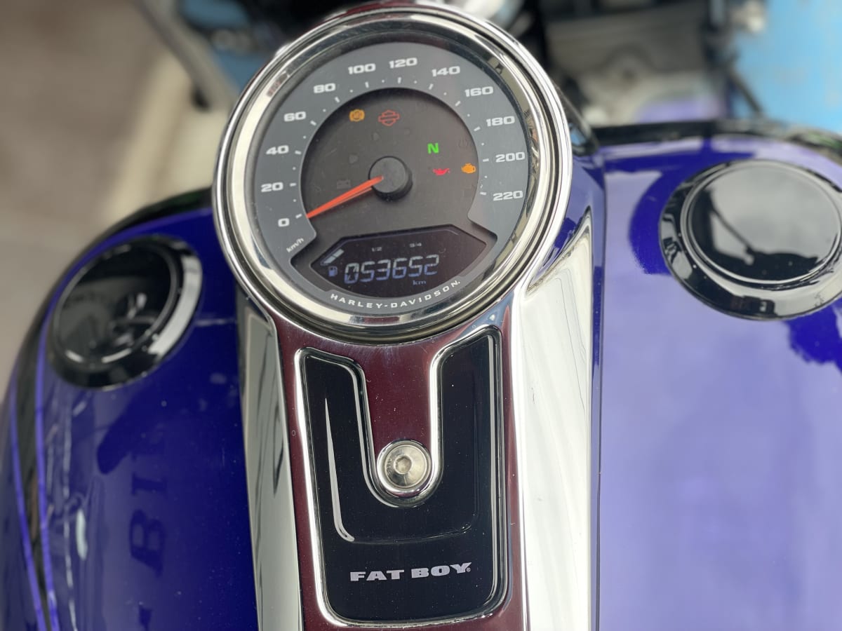 HARLEY DAVIDSON FATBOY 114 (2022)9