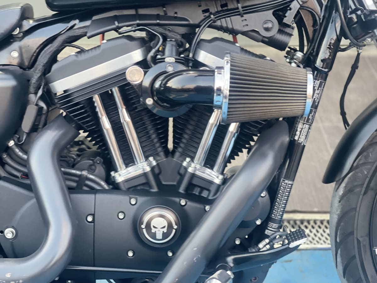 HARLEY DAVIDSON Sportster Iron 883 (2020)5