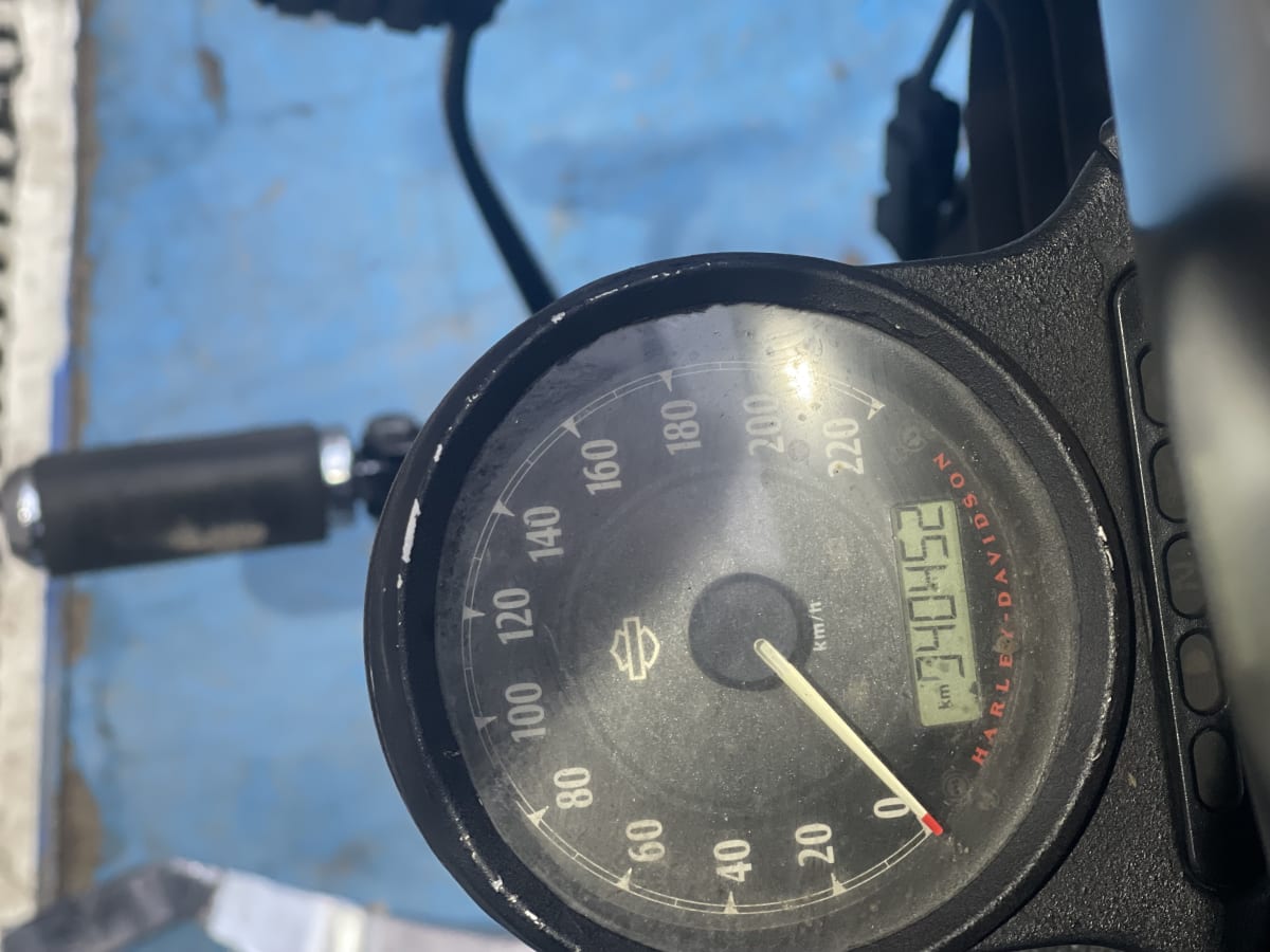 HARLEY DAVIDSON Sportster Iron 883 (2020)6
