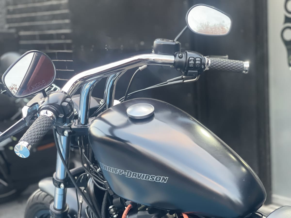 HARLEY DAVIDSON Sportster Iron 883 (2020)11