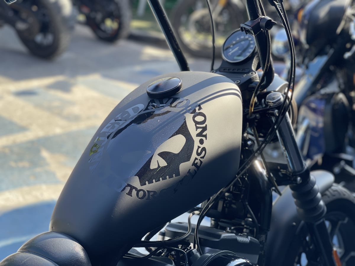 HARLEY DAVIDSON Sportster Iron 883 (2017)12