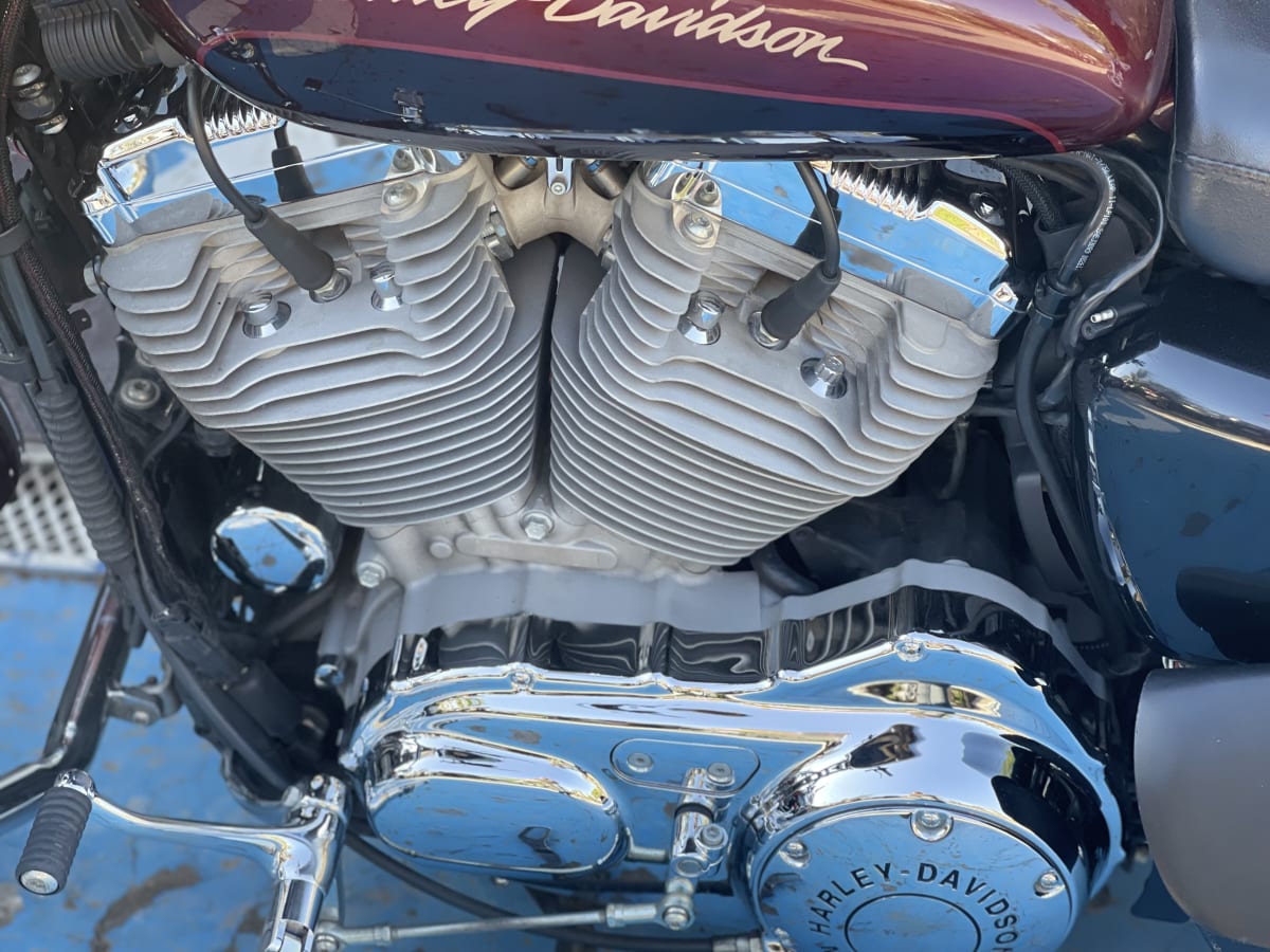 HARLEY DAVIDSON Sportster Low 883 (2014)10
