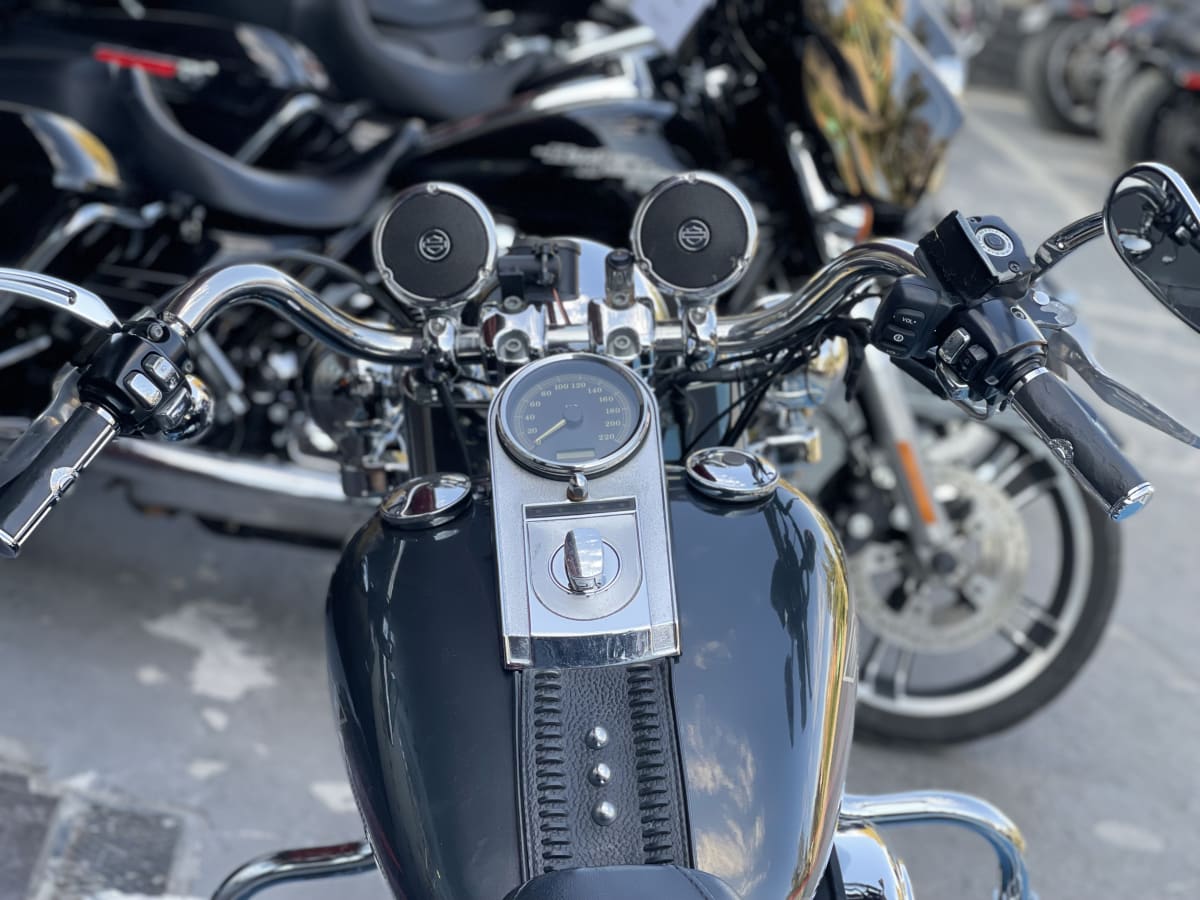 HARLEY DAVIDSON SOFTAIL FATBOY (2007)8