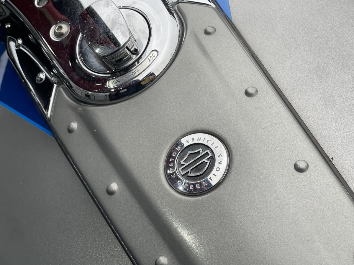 HARLEY DAVIDSON Fat Bob CVO 20107