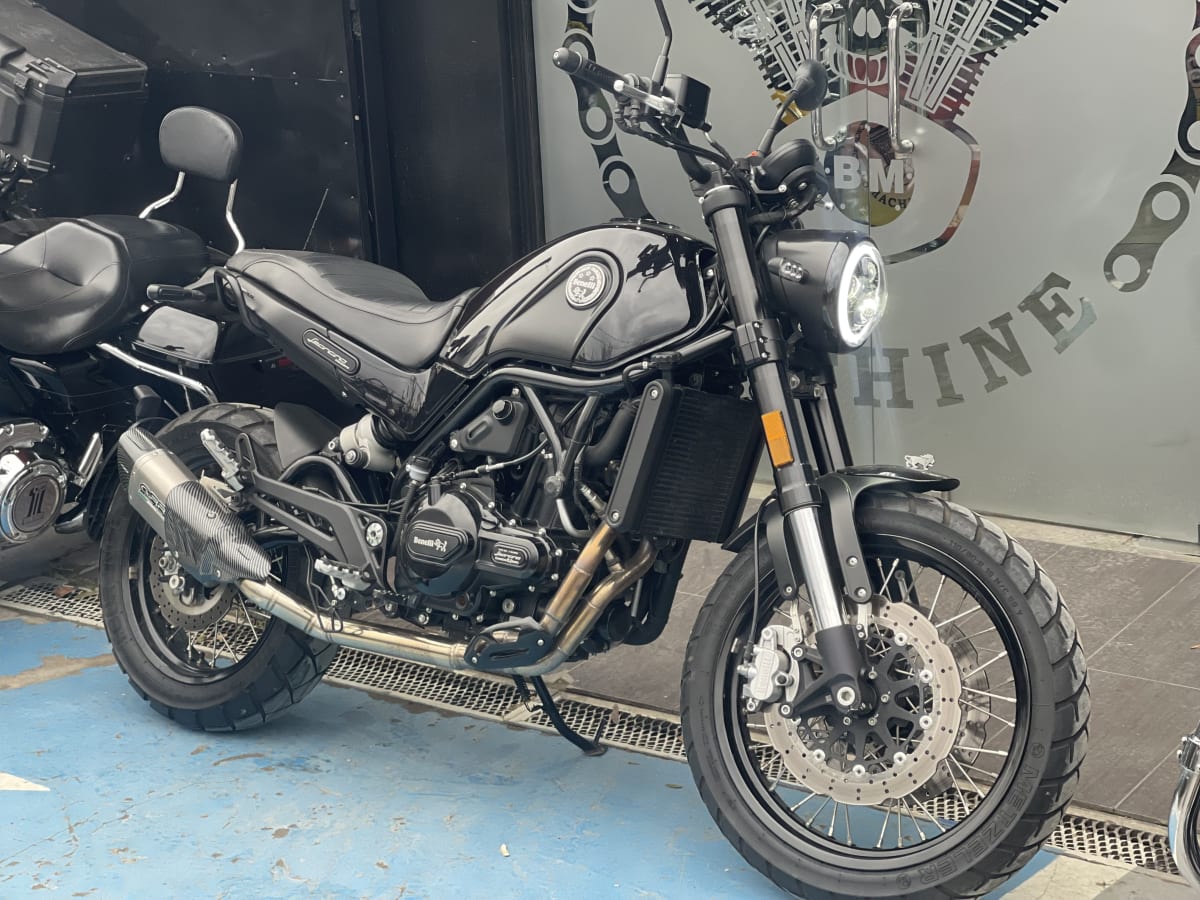 Benelli Leoncino 500 20243