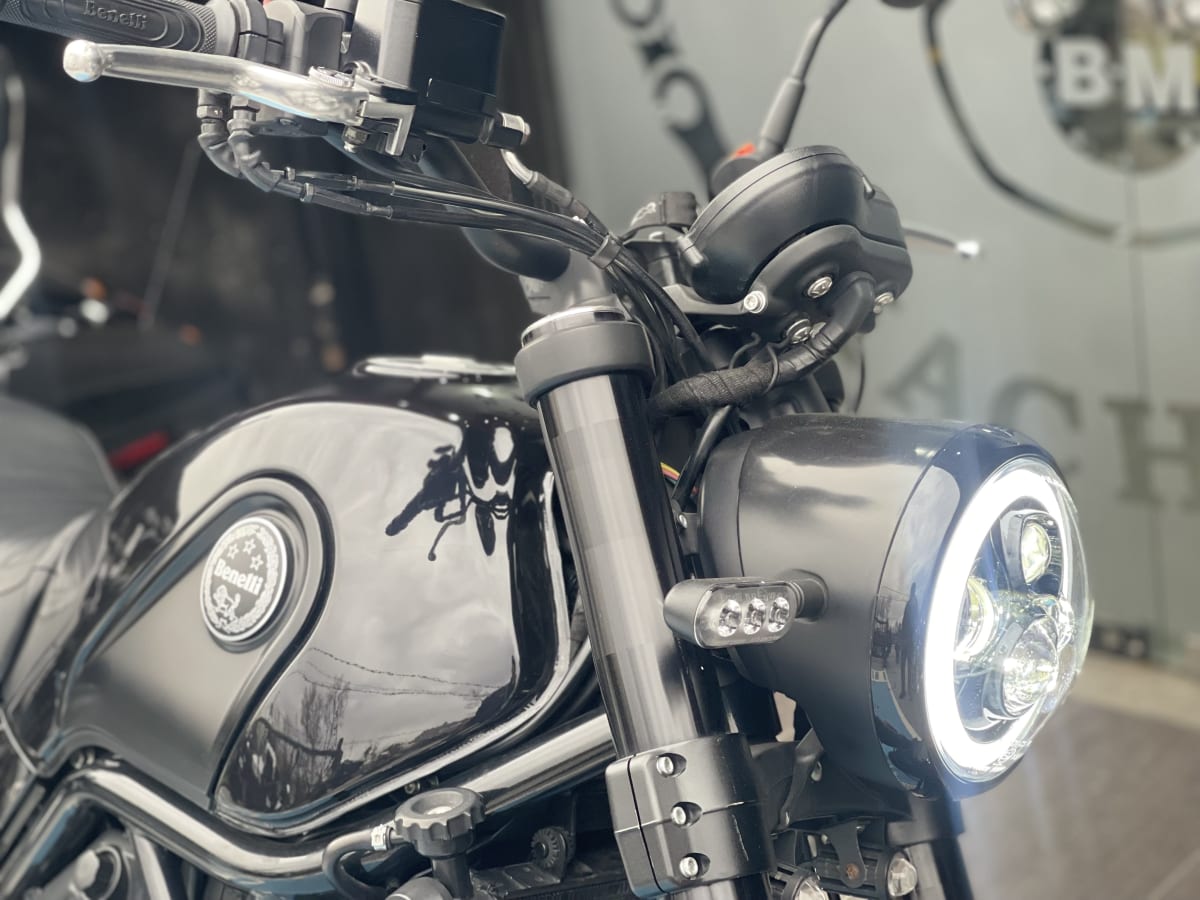 Benelli Leoncino 500 20244