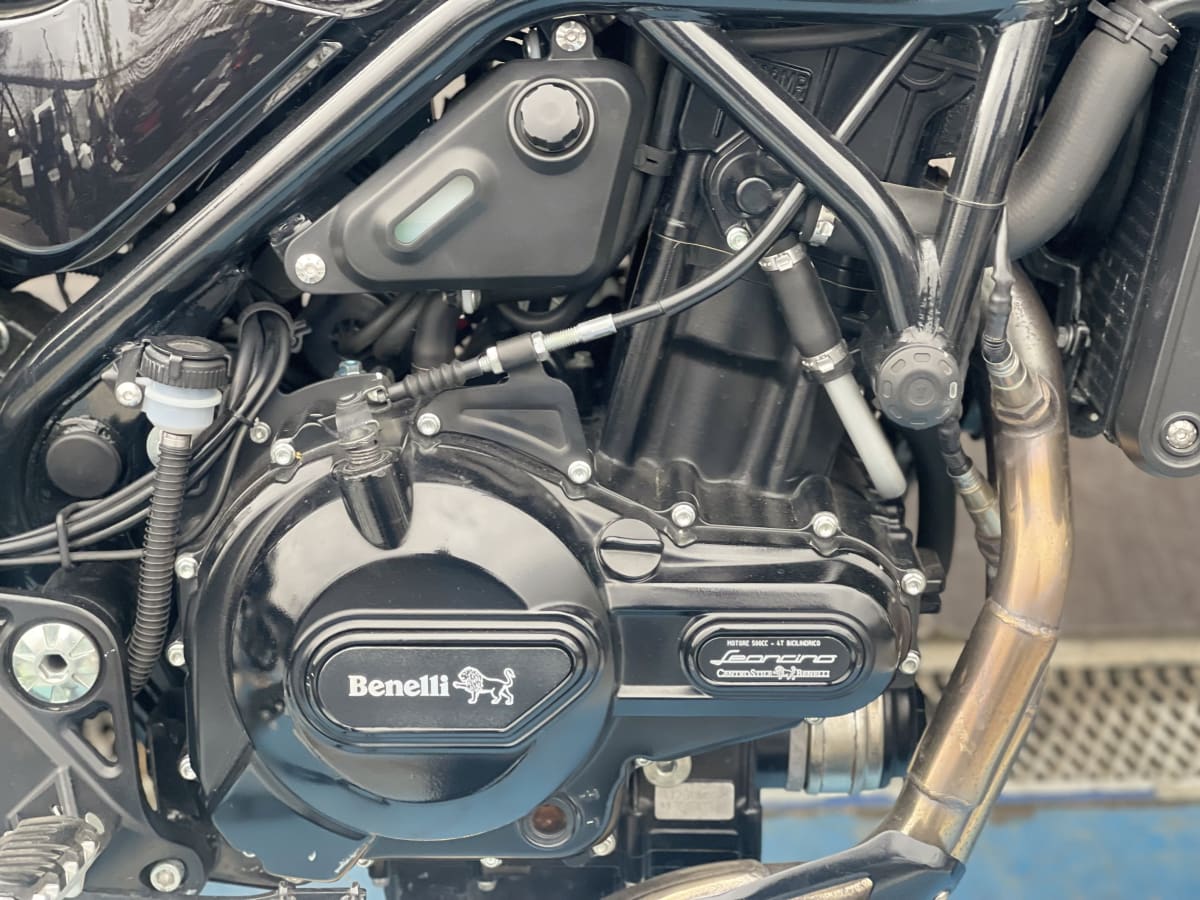 Benelli Leoncino 500 20246