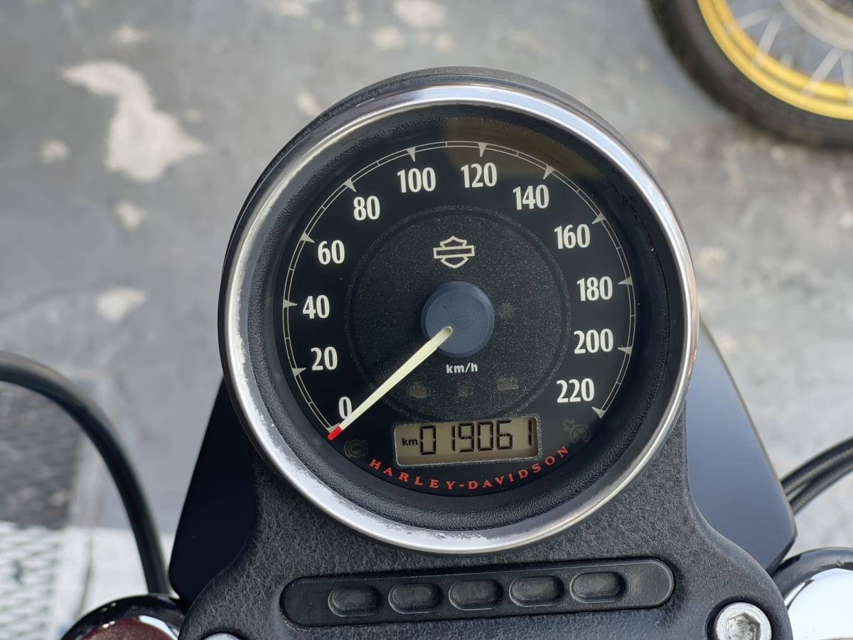 HARLEY DAVIDSON Sportster Iron 883 (2016)7