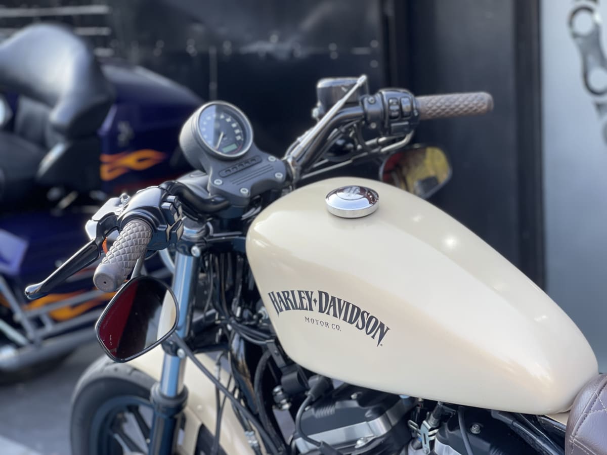 HARLEY DAVIDSON Sportster Iron 883 (2016)11