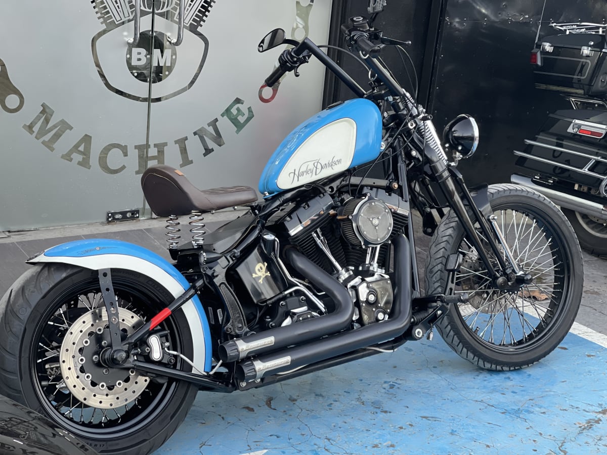 HARLEY DAVIDSON SOFTAIL Cross Bones 20102