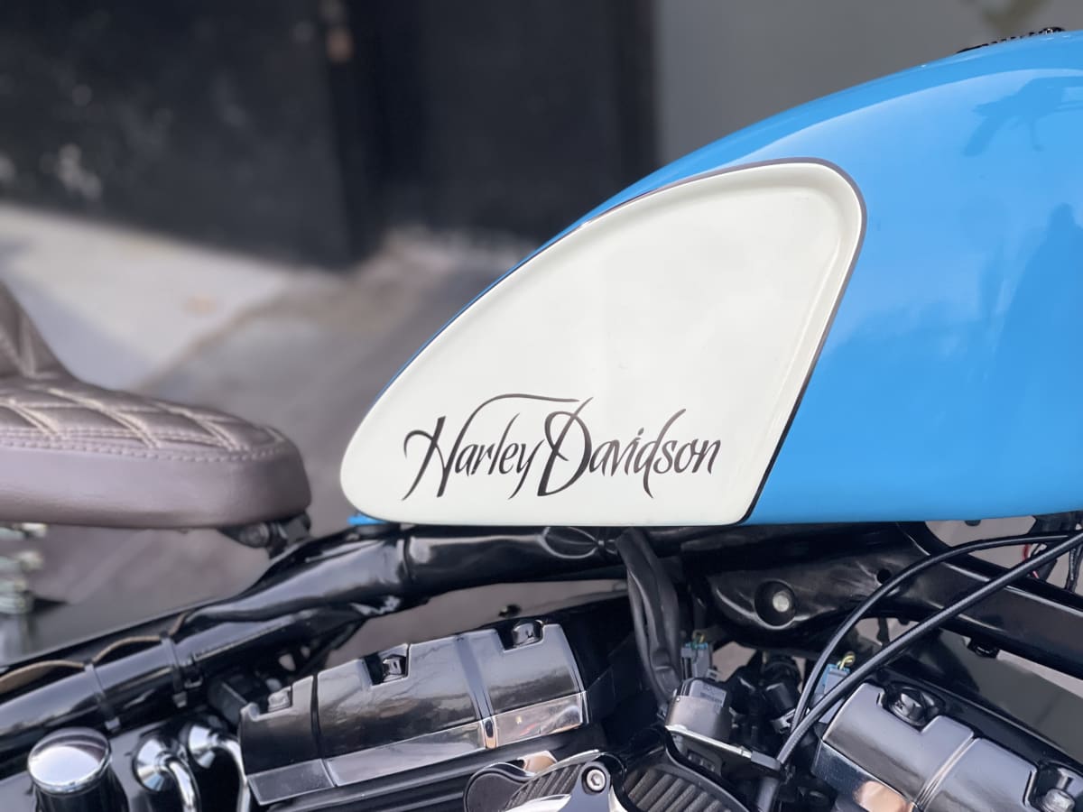 HARLEY DAVIDSON SOFTAIL Cross Bones 20103