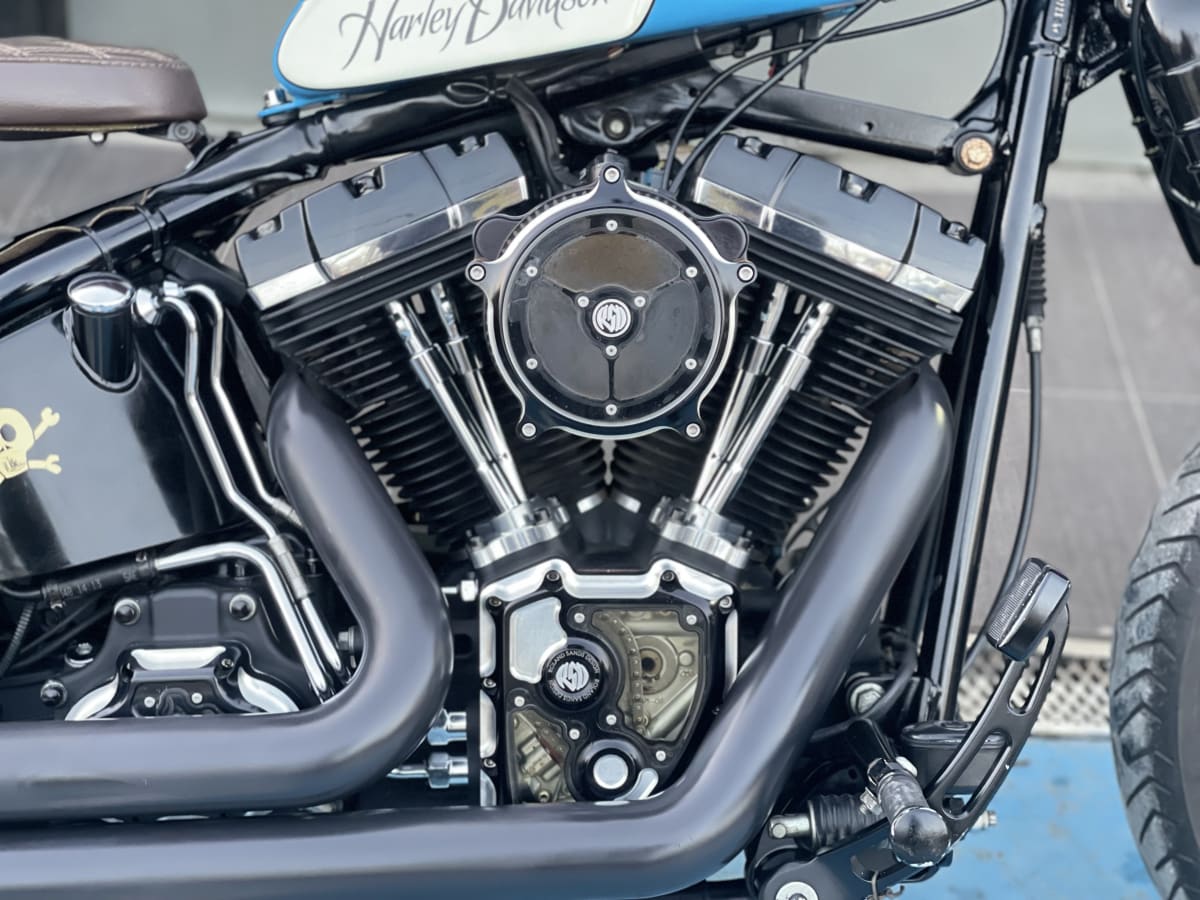 HARLEY DAVIDSON SOFTAIL Cross Bones 20104