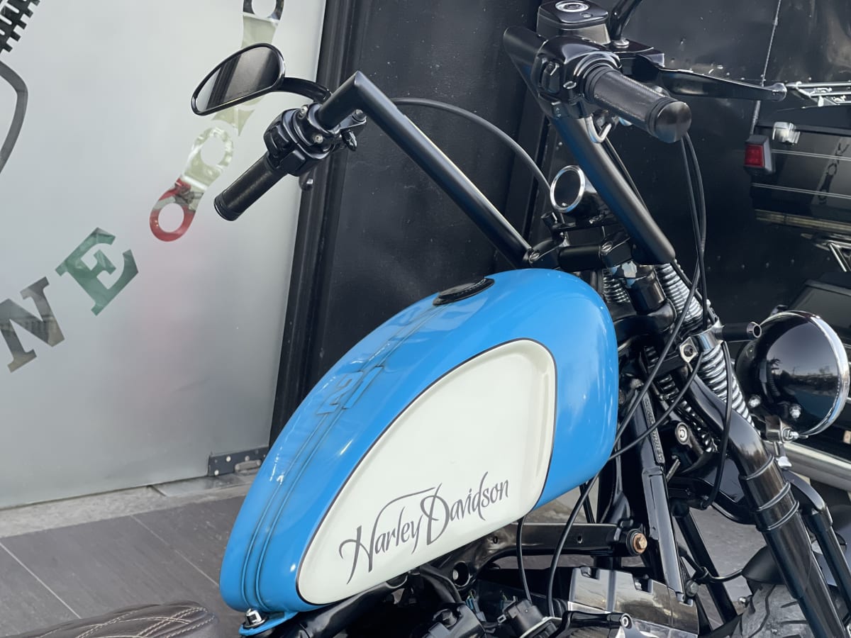 HARLEY DAVIDSON SOFTAIL Cross Bones 20105