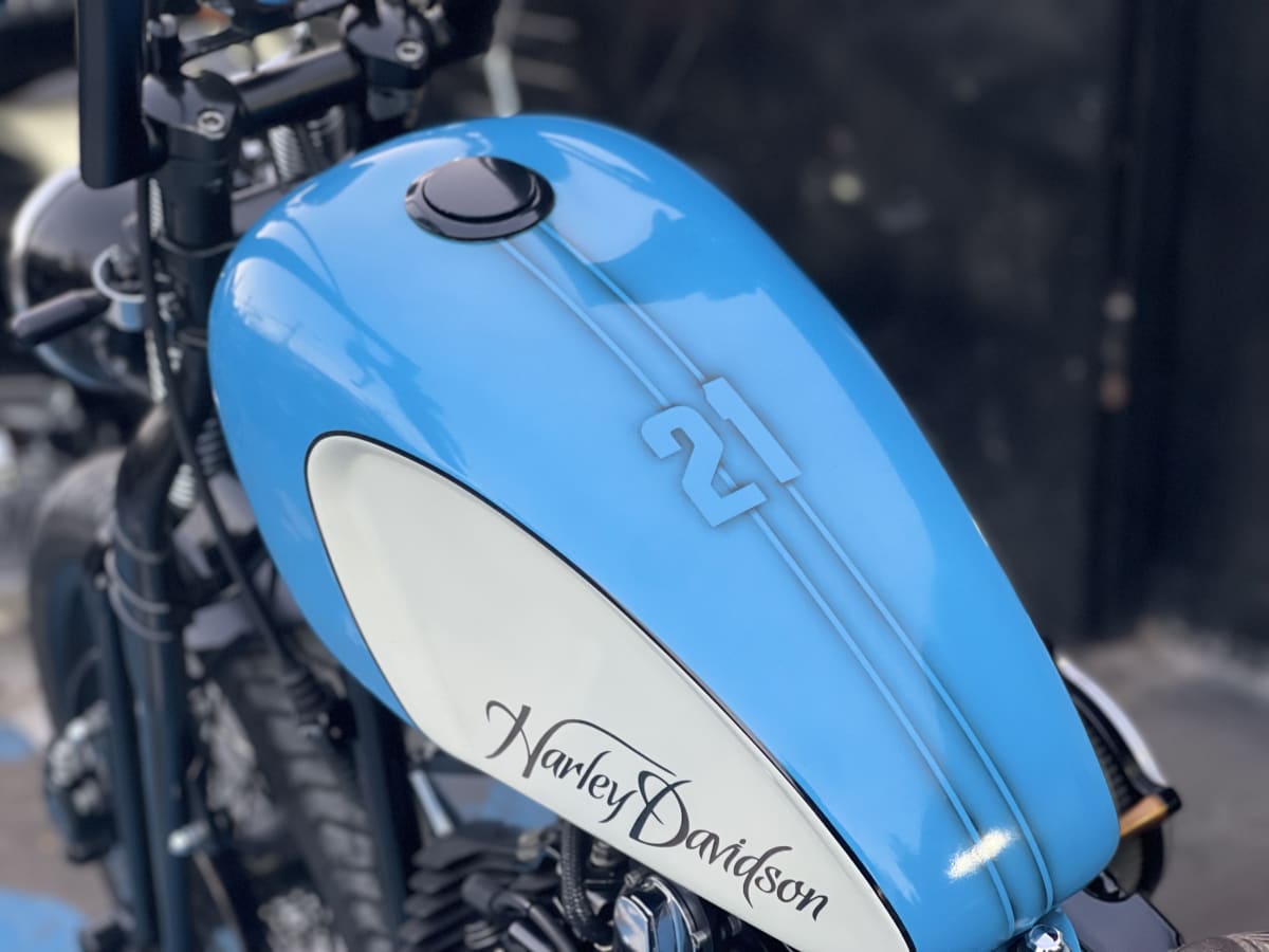 HARLEY DAVIDSON SOFTAIL Cross Bones 20106
