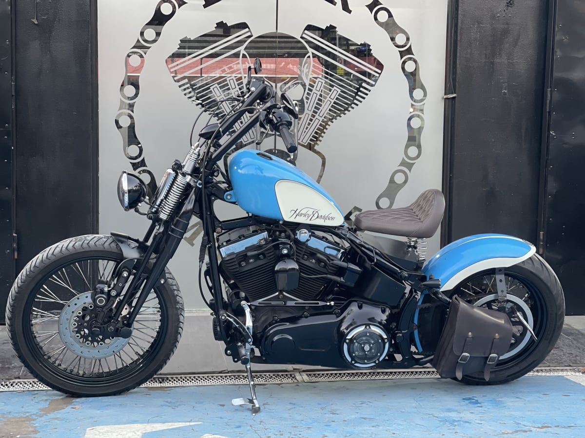 HARLEY DAVIDSON SOFTAIL Cross Bones 20107