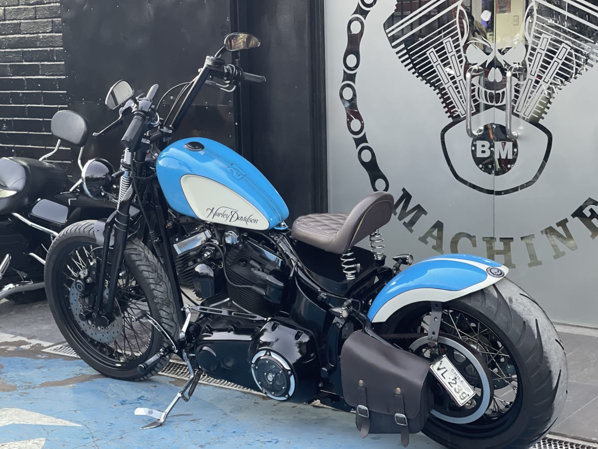 HARLEY DAVIDSON SOFTAIL Cross Bones 20108