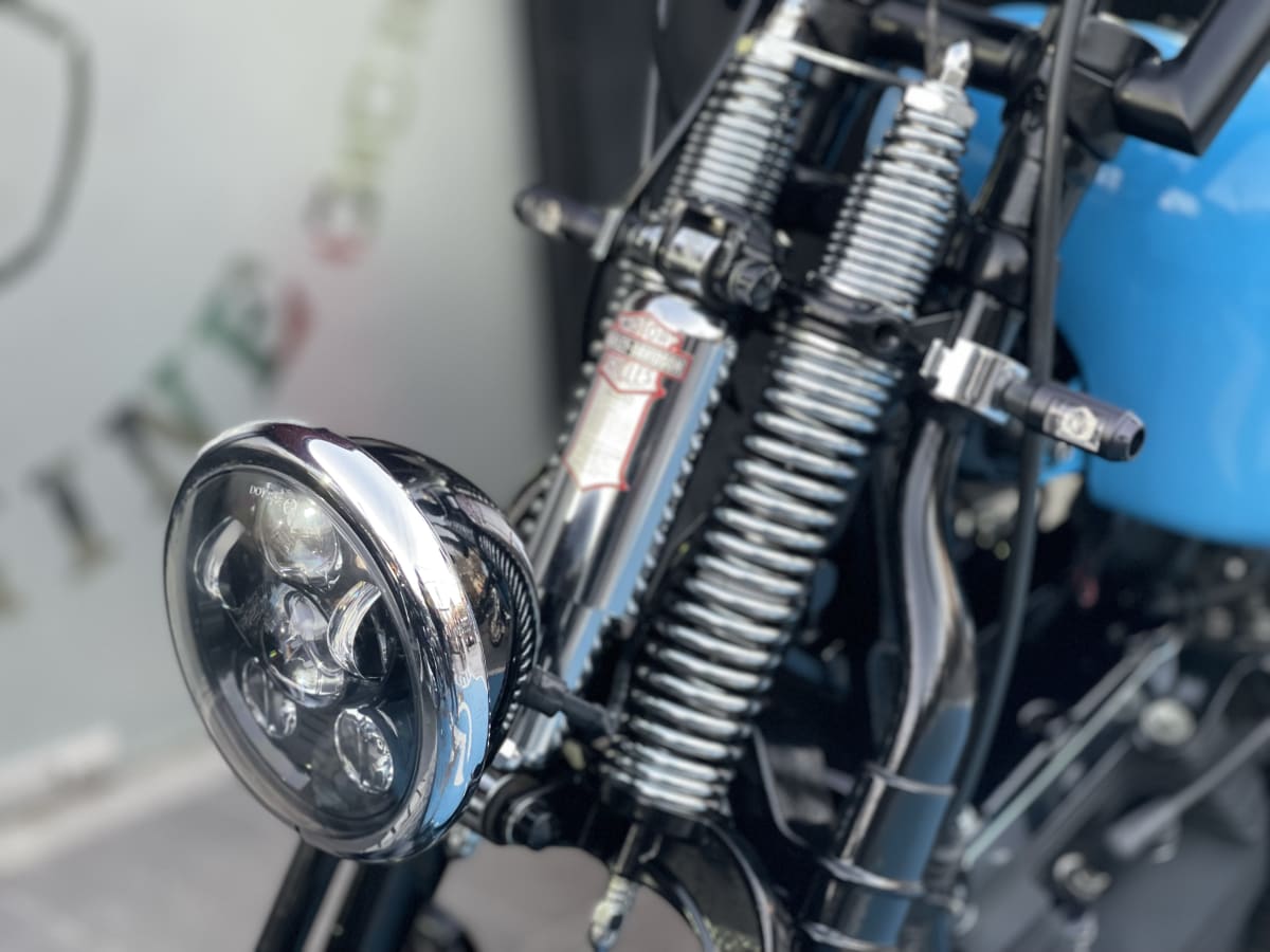 HARLEY DAVIDSON SOFTAIL Cross Bones 20109