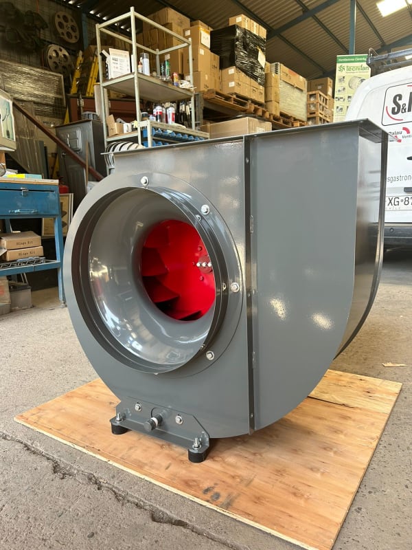 whatsappimage2025 02 11at4 17 46pm0835.jpeg