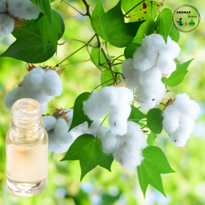 AROMA ALGODÓN