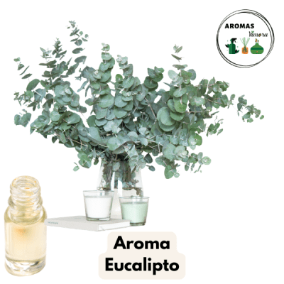 AROMA EUCALIPTO