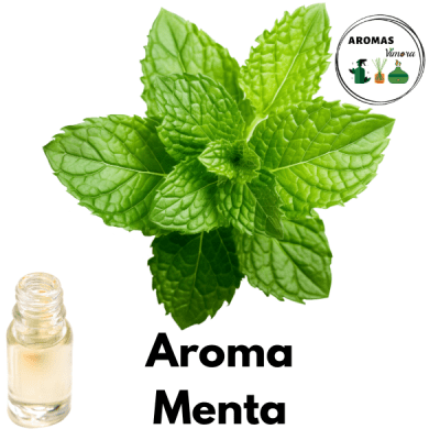 AROMA MENTA