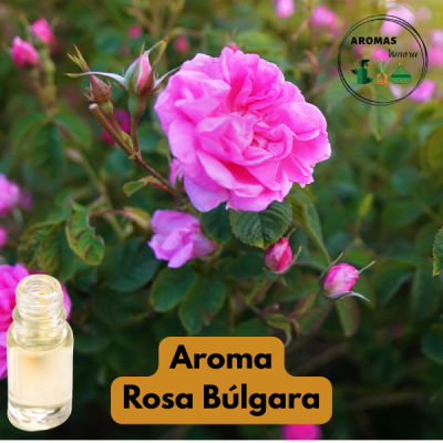 AROMA ROSA BÚLGARA