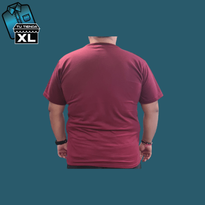 POLERA CUELLO REDONDO BURDEO