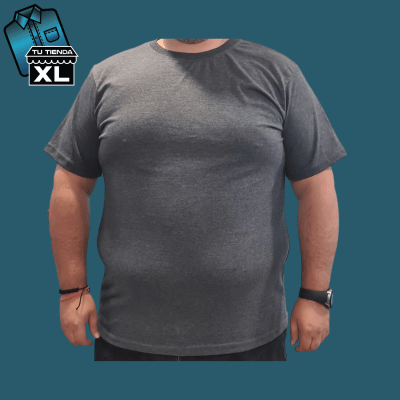 POLERA CUELLO REDONDO GRIS OSCURO