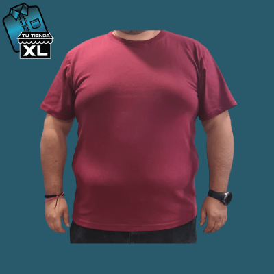 POLERA CUELLO REDONDO BURDEO