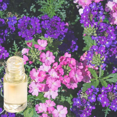 AROMA VERBENA