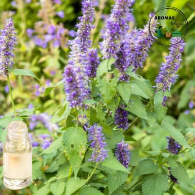 AROMA PATCHOULI