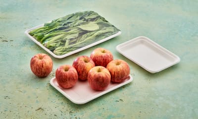 BANDEJA COMPOSTABLE (50 Unidades)