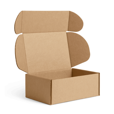 CAJA AUTOARMABLE (10 unidades) CAJA AUTOARMABLE (10 unidades)