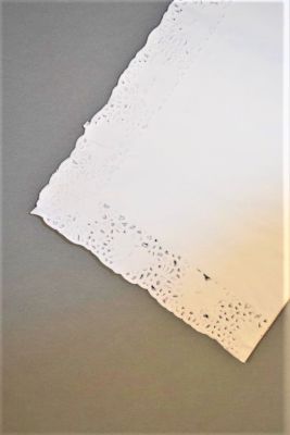 BLONDA RECTANGULAR (100 Unidades)1