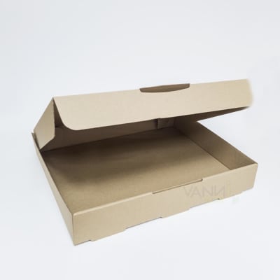 CAJA EMPANADAS (10 unidades)1