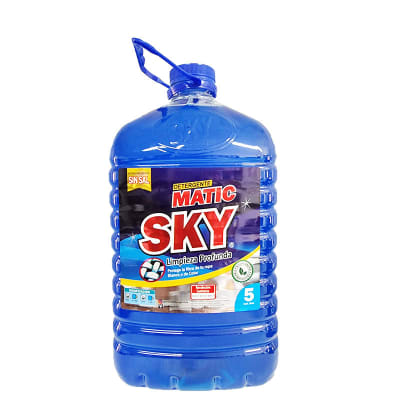 DETERGENTE LIQUIDO (bidon 5 lts)