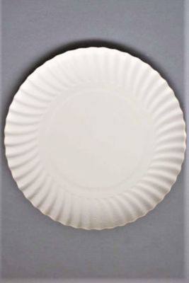 PLATO DE CARTULINA BLANCO (100 unidades)